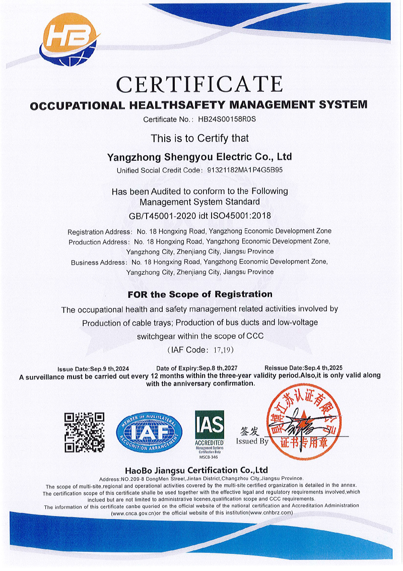 揚中市盛友電氣有限公司  QES  監(jiān)一(1)-6.jpg