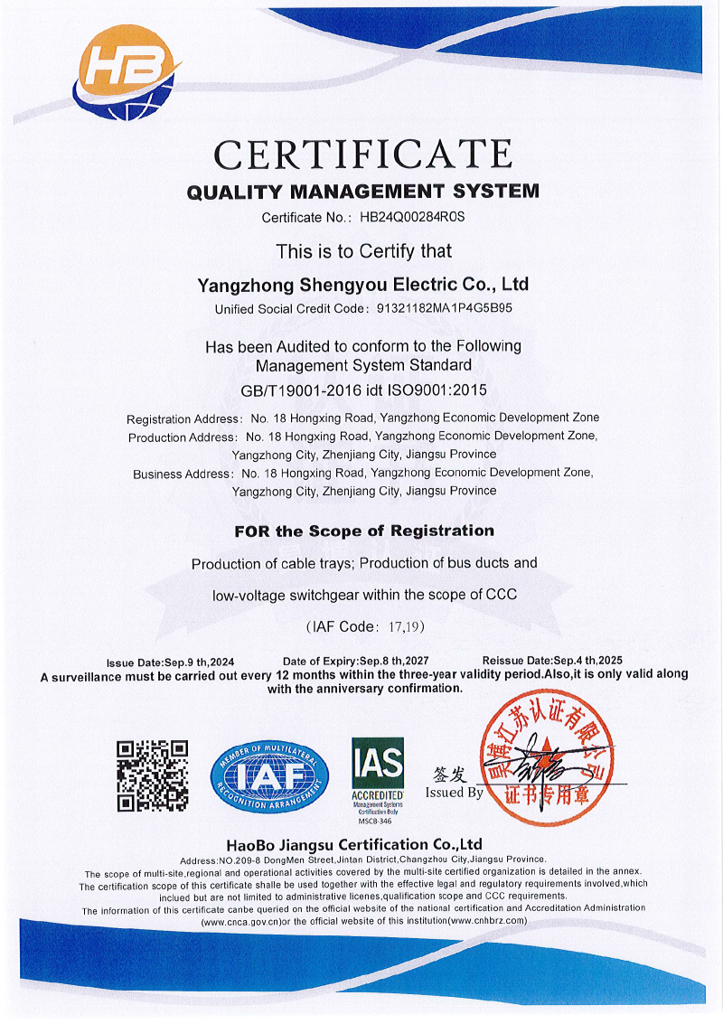 揚中市盛友電氣有限公司  QES  監一(1)-2.jpg